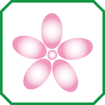 Fiore (colore): BIANCO CON SFUMATURE ROSA