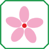Fiore (colore): ROSA CHIARO, CENTRO ROSSO